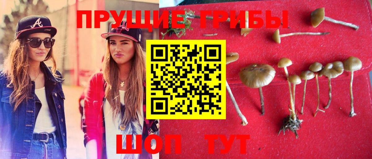 Псилоцибиновые грибы GOLDEN TEACHER  Вход с VPN  Топки 