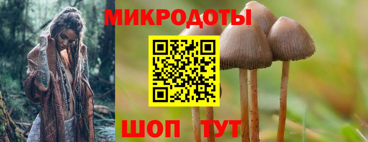 Псилоцибиновые грибы MAGIC MUSHROOMS Топки