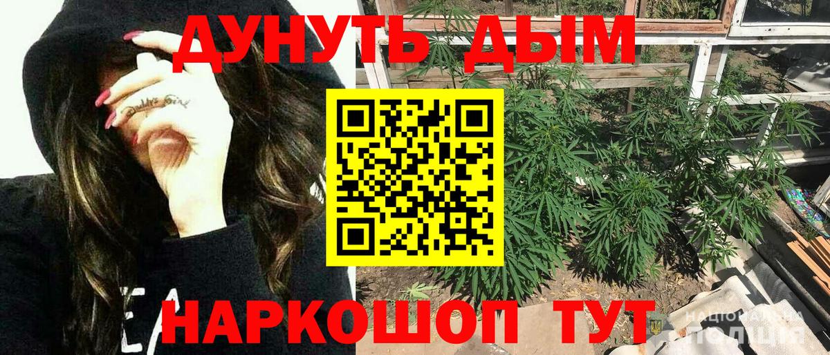 Топки  Канабис план  Шишки марихуана Amnesia  Вход с VPN 